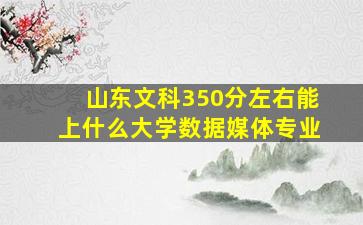 山东文科350分左右能上什么大学数据媒体专业