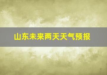 山东未来两天天气预报