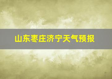 山东枣庄济宁天气预报