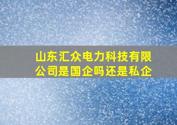 山东汇众电力科技有限公司是国企吗还是私企