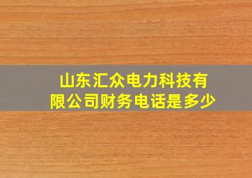 山东汇众电力科技有限公司财务电话是多少