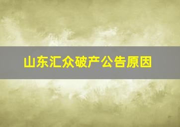 山东汇众破产公告原因