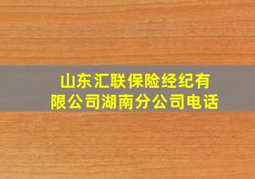 山东汇联保险经纪有限公司湖南分公司电话