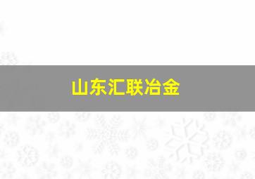 山东汇联冶金