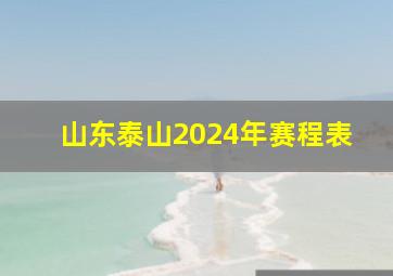 山东泰山2024年赛程表