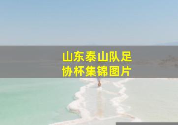 山东泰山队足协杯集锦图片