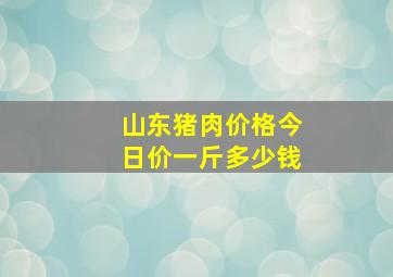 山东猪肉价格今日价一斤多少钱