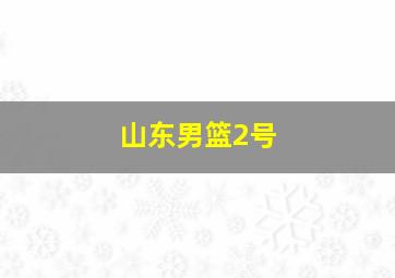 山东男篮2号