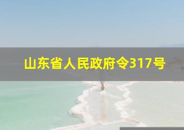 山东省人民政府令317号