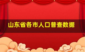 山东省各市人口普查数据