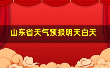 山东省天气预报明天白天