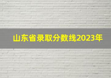 山东省录取分数线2023年