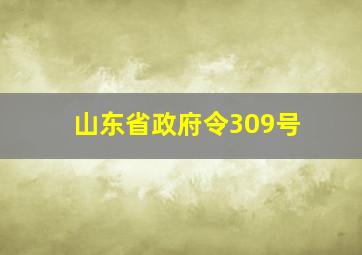 山东省政府令309号