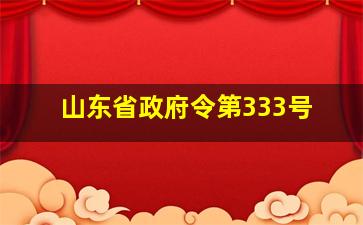 山东省政府令第333号