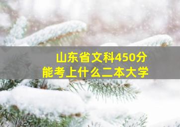 山东省文科450分能考上什么二本大学