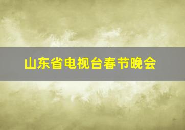 山东省电视台春节晚会