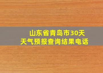 山东省青岛市30天天气预报查询结果电话