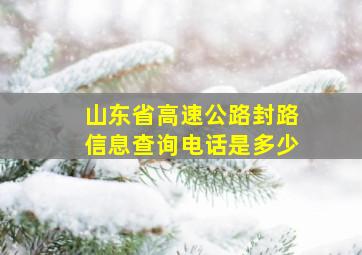 山东省高速公路封路信息查询电话是多少