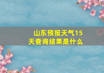 山东预报天气15天查询结果是什么