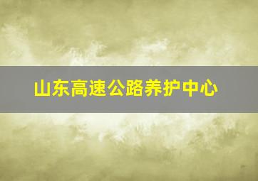 山东高速公路养护中心