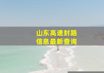 山东高速封路信息最新查询