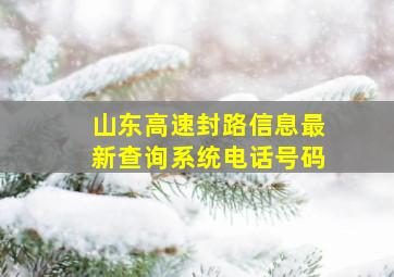 山东高速封路信息最新查询系统电话号码