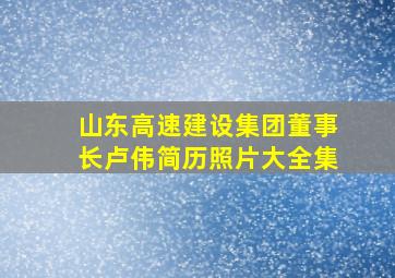 山东高速建设集团董事长卢伟简历照片大全集