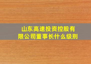 山东高速投资控股有限公司董事长什么级别