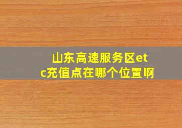 山东高速服务区etc充值点在哪个位置啊