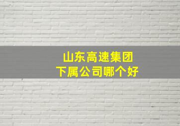 山东高速集团下属公司哪个好