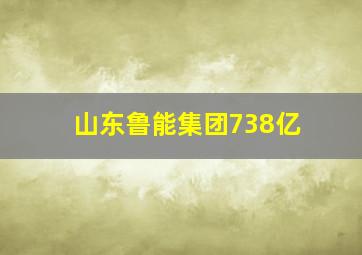 山东鲁能集团738亿