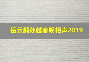 岳云鹏孙越春晚相声2019