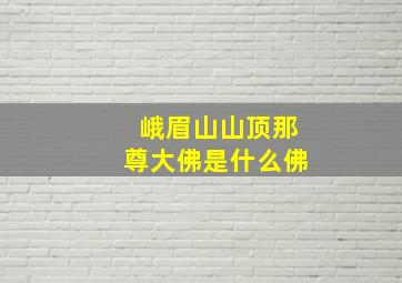 峨眉山山顶那尊大佛是什么佛