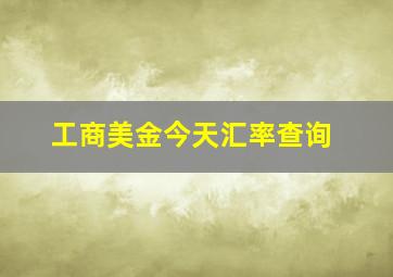 工商美金今天汇率查询