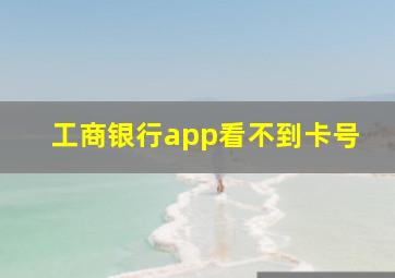 工商银行app看不到卡号