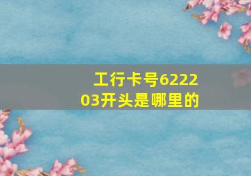 工行卡号622203开头是哪里的