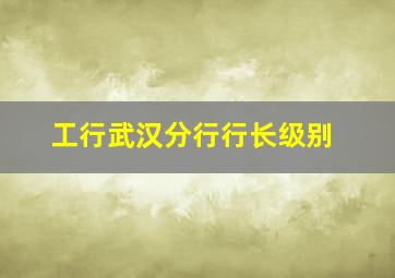 工行武汉分行行长级别