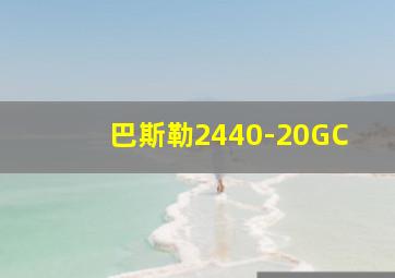 巴斯勒2440-20GC