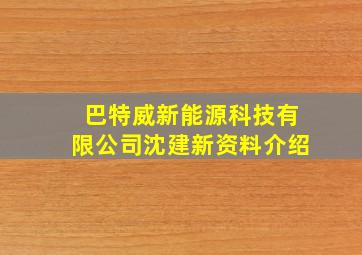 巴特威新能源科技有限公司沈建新资料介绍