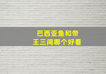 巴西亚鱼和帝王三间哪个好看