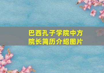 巴西孔子学院中方院长简历介绍图片