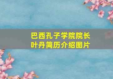 巴西孔子学院院长叶丹简历介绍图片