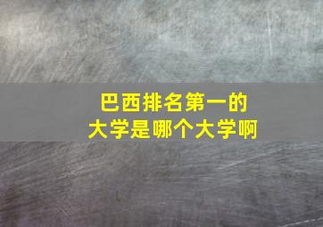 巴西排名第一的大学是哪个大学啊