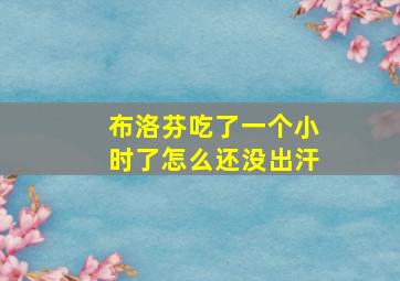 布洛芬吃了一个小时了怎么还没出汗