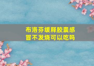 布洛芬缓释胶囊感冒不发烧可以吃吗