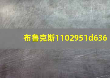 布鲁克斯1102951d636