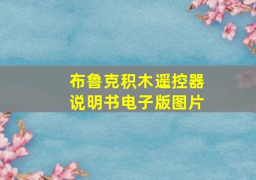 布鲁克积木遥控器说明书电子版图片