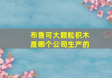 布鲁可大颗粒积木是哪个公司生产的