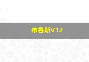 布鲁斯V12