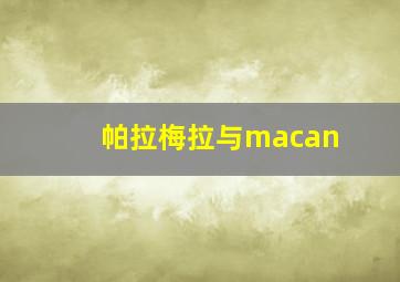 帕拉梅拉与macan